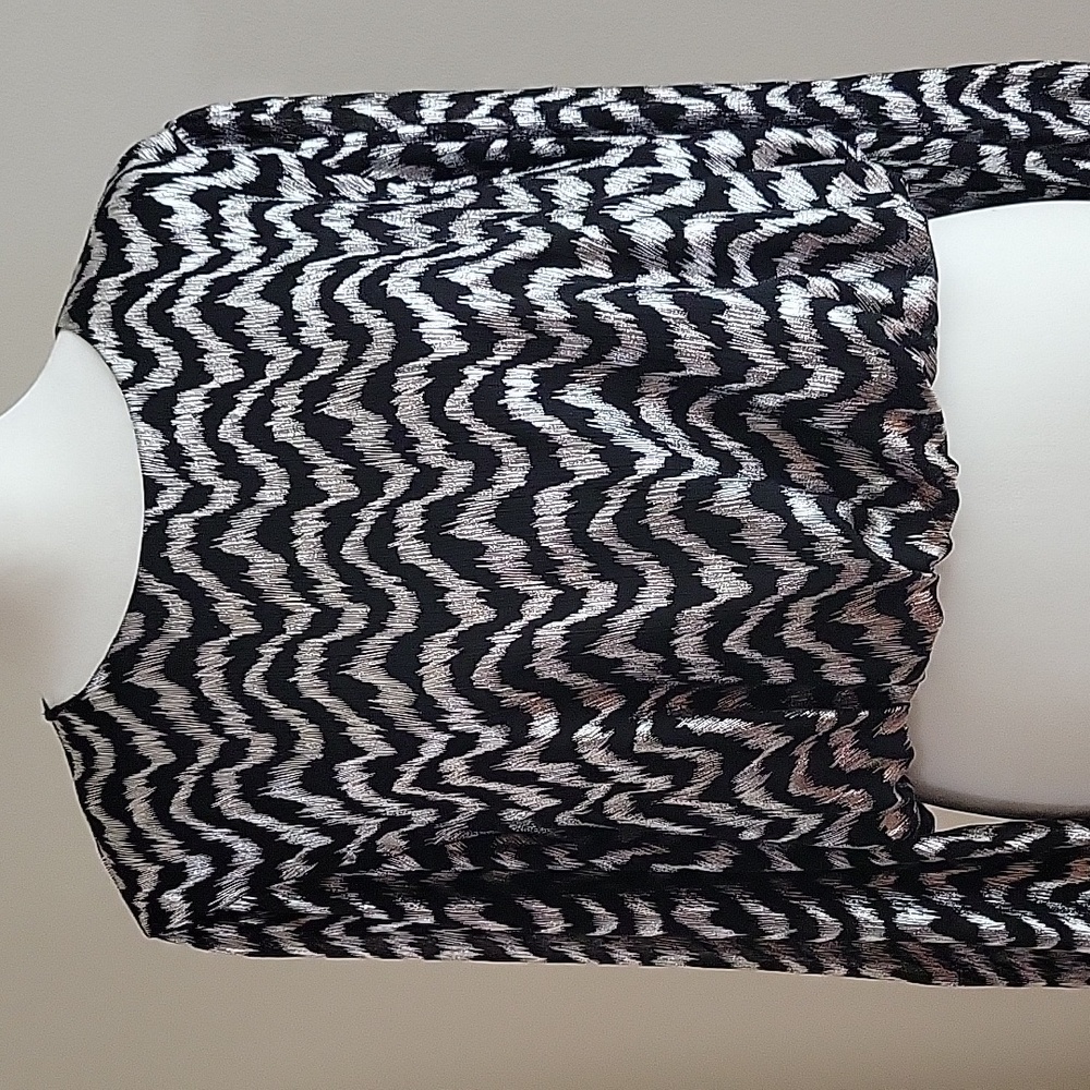 Zara long sleeves top. Size Large